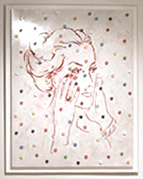 Kurhays - 2009 Dots, Fields & Flowers - 2009
